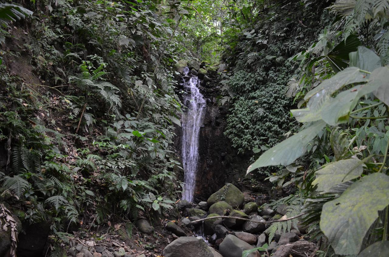 הוילה La Fortuna Lumbres Arenal מראה חיצוני תמונה
